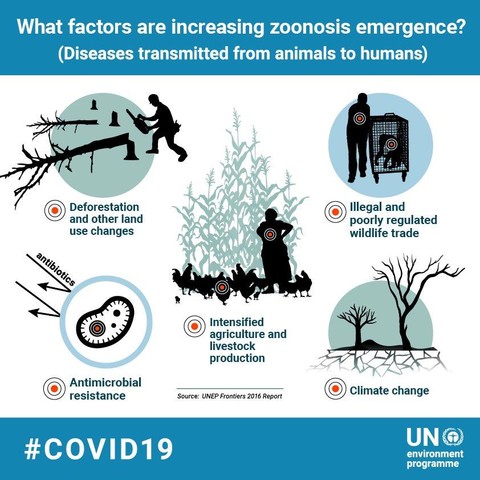 Blue/white image from UN shows what causes zoonosis transmissions. (see hashtags)