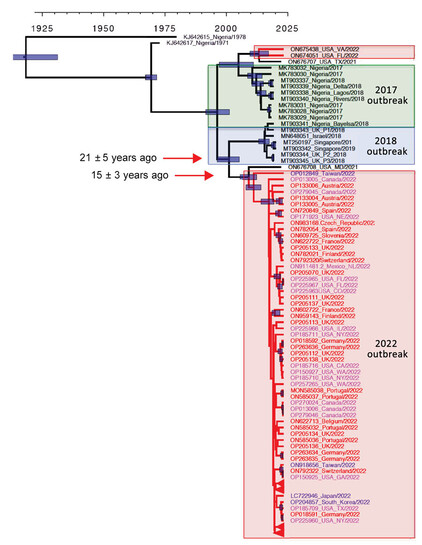 A phylogenetic tree depicting the common ancestor about 20 years ago.