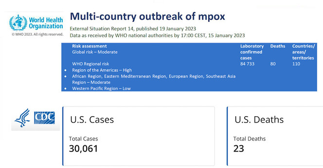Snapshots of CDC and WHO websites.