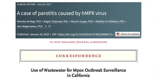 Snapshots of article titles from web sites.