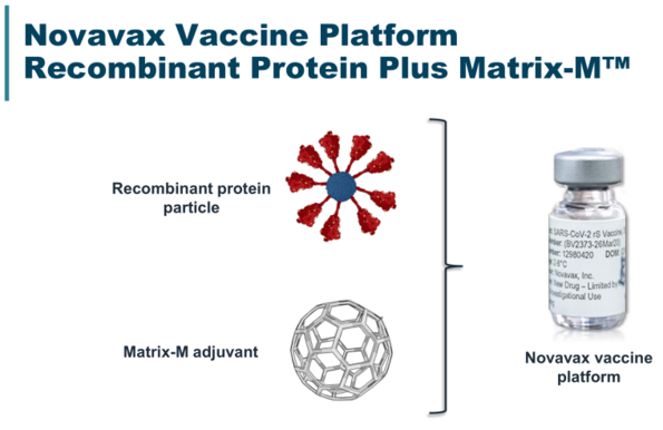 Image of Novavax vaccine platform showing it uses both a recombinant protein particle and matrix-M adjuvant