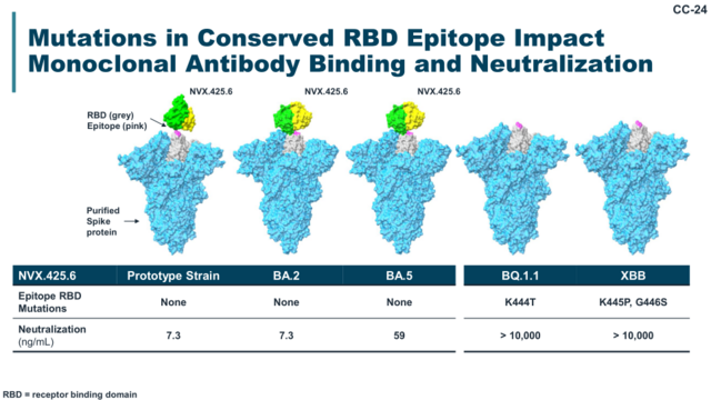 Slide showing mutations in conserved RBD epitope impact monoclonal antibody binding and neutralization where BQ.1.1 and XBB variants have multiple mutations