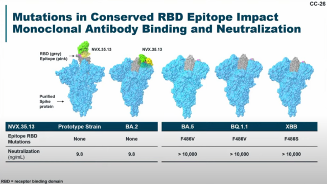 Slide showing mutations in conserved RBD epitope impact monoclonal antibody binding and neutralization where BA.5, BQ.1.1 and XBB variants have multiple mutations