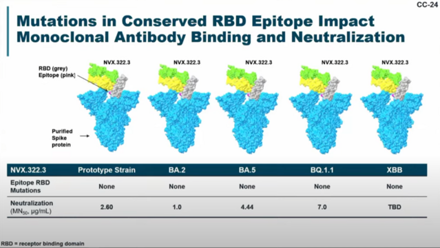 Slide showing mutations in conserved RBD epitope impact monoclonal antibody binding and neutralization where none of the variants have mutations in a specific region
