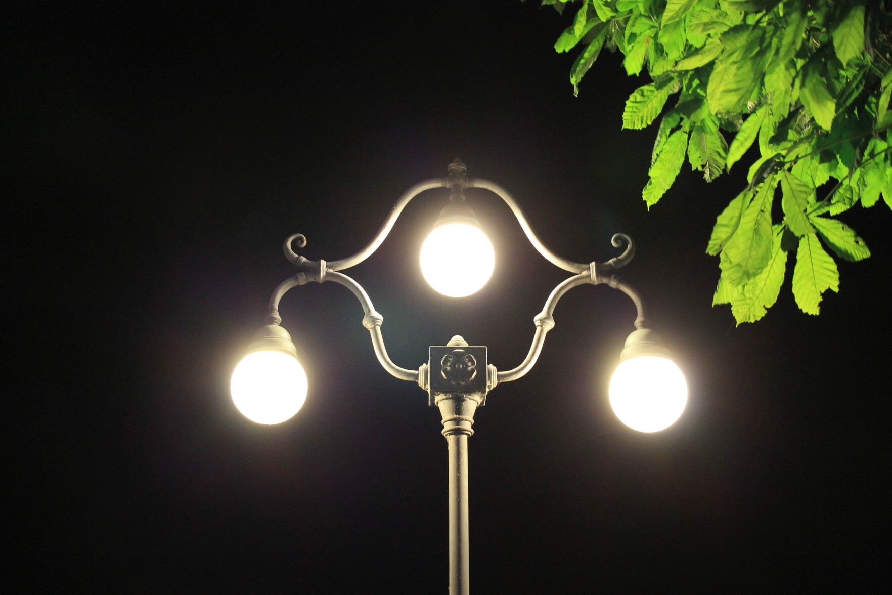 Journal of Exp Biol (J_Exp_Biolmstdn.science) mstdn.science