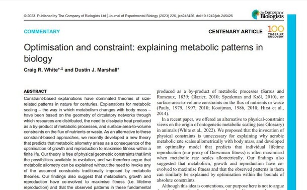 A screenshot of the first page of the PDF of the Commentary, showing the title, ‘Optimisation and constraint: explaining metabolic patterns in biology’, the names of the authors, Craig White and Dustin Marshall, and part of the Abstract