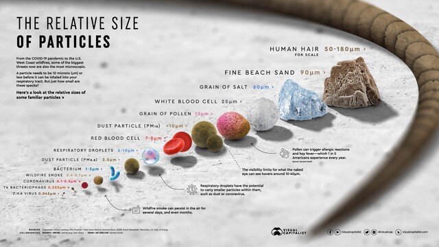 Image showing relative sizes of particles from human hair to grains of pollen down to the size of viruses. Image from: http://visualcapitalist.com