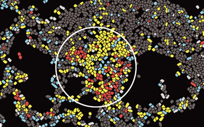 Cell metabolic states can be directly mapped to their native biofilm context to identify emerging microenvironment dynamics [source https://www.science.org/doi/full/10.1126/science.abi4882]