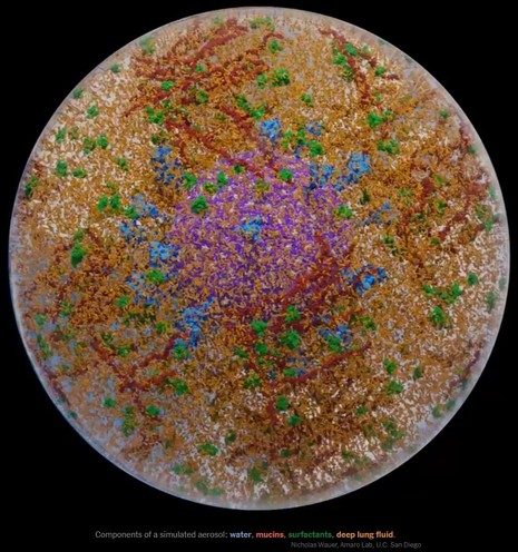 Image showing respiratory aerosol and its contents (water, mucins from the lining of the lungs, deep lung fluid and surfactants). Image from: https://www.nytimes.com/interactive/2021/12/01/science/coronavirus-aerosol-simulation.html?smid=tw-share