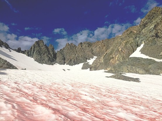 Hiking/Climbing Mount Ritter on the Inyo National Forest, Ansel Adams Wilderness, Aug. 28, 2017. Approaching the middle of the Southeast Glacier and the chutes to the summit snowfield are visible to the right. "Blood" colored snow is from algae. Temps in 60-70s. No wind. (USDA photo by Paul Wade)