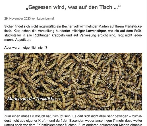 Screenshot aus dem verlinkten Blog-Artikel mit Bild wimmelnder Maden, wie sie in der Thaiküche zubereitet werden.