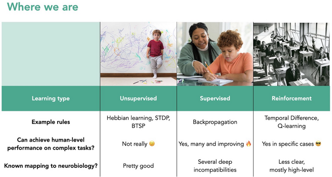 Unsupervised learning rules map well to neurobiology but don't do well on ML tasks. Supervised and reinforcement learning is the opposite.