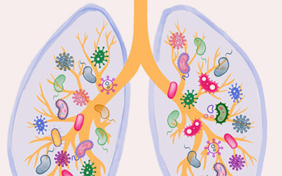 The lung microbiome. Image credit: Mechas Zambrano
