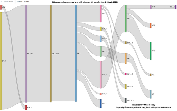 Sankey graph (height of each bar is # of sequences for that variant) showing top variants and their lineages over the past couple of months from PCR test genomic sequencing in Ontario, Canada. Visualization tool was created by @Mike_Honey_ ( https://app.powerbi.com/view?r=eyJrIjoiNzE5YzczODItMDQzMS00M2EzLWFjNWYtMjg3OTY3NTNhZDM3IiwidCI6ImRjMWYwNGY1LWMxZTUtNDQyOS1hODEyLTU3OTNiZTQ1YmY5ZCIsImMiOjEwfQ%3D%3D&pageName=ReportSection32240d6b62ba73667e98 )
