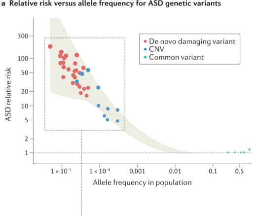 plot with ASD genetic risk on y-axis and variant prevalence on x-axis. Inverse relationship between the two.