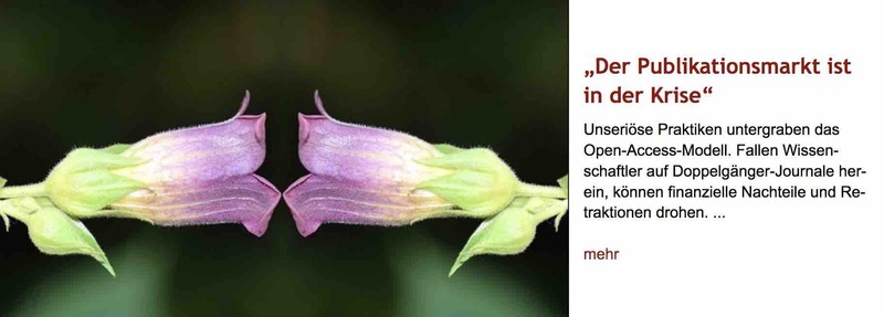 Violette Blüte, die sich einer gespiegelten Doppelgängerblüte gegenüber sieht. Rechts daneben Überschrift "Der Publikationsmarkt ist in der Krise" des im Post verlinkten Artikels, gefolgt vond essen Vorspann.