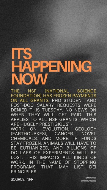 Image with text that reads:
It's happening now:
- The NSF (National Science Foundation) has frozen payments on all grants. PhD student and Post-doc salary requests were denied this Tuesday. No news on when they will get paid. This applies to ALL NSF grants (which are hugely prestigious) - work on evolution, geology (earthquakes), cancer, novel chemicals, and more. If funds stay frozen, animals will have to be euthanized, and billions of dollars of experiments will be lost. This impacts all kinds of work, in the name of stopping programs that may list DEI principles. (Source: NPR)