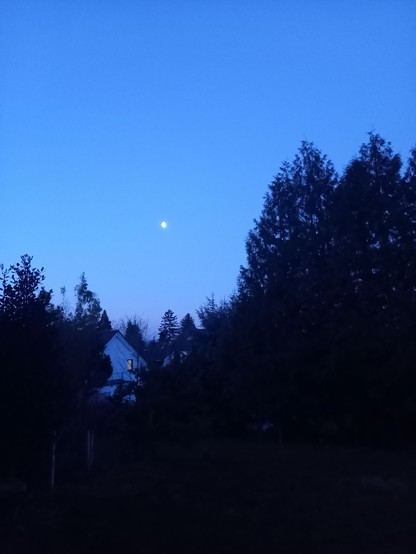 Landscape with a house and trees during a #bluehour showing a contrast between the sky with a bright moon and the outlines of the trees and the house with one illuminated window, could also be a hood example for #silentsunday