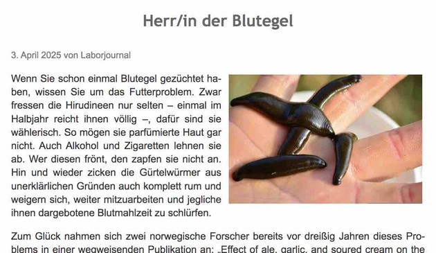 Foto einer menschlichen Hand, auf der vier Blutegel-Würmer übereinander kriechen. Darüber Überschrift "Herr/in der Blutegel" des im Post verlinkten Artikels. Links daneben sowie darunter die ersten Sätze des Artikeltexts.