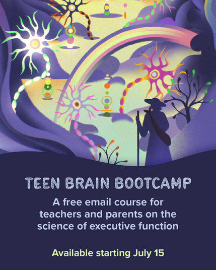 TEEN BRAIN BOOTCAMP: 
A free email course for teachers and parents on the science of executive function

Available starting July 15

Illustration: A beautiful illustration of an explorer navigating mountains of neurons