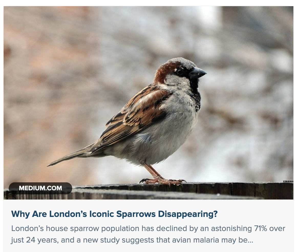 Sorry, no caption provided by author