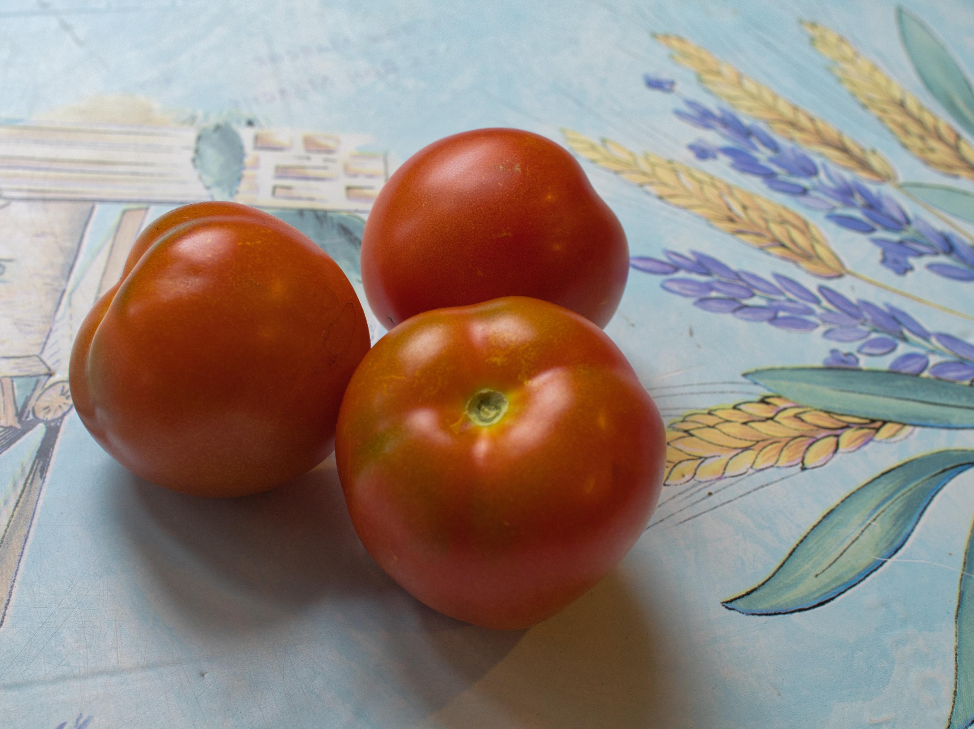 Three red tomatoes of medium size on a light blue tablecloth