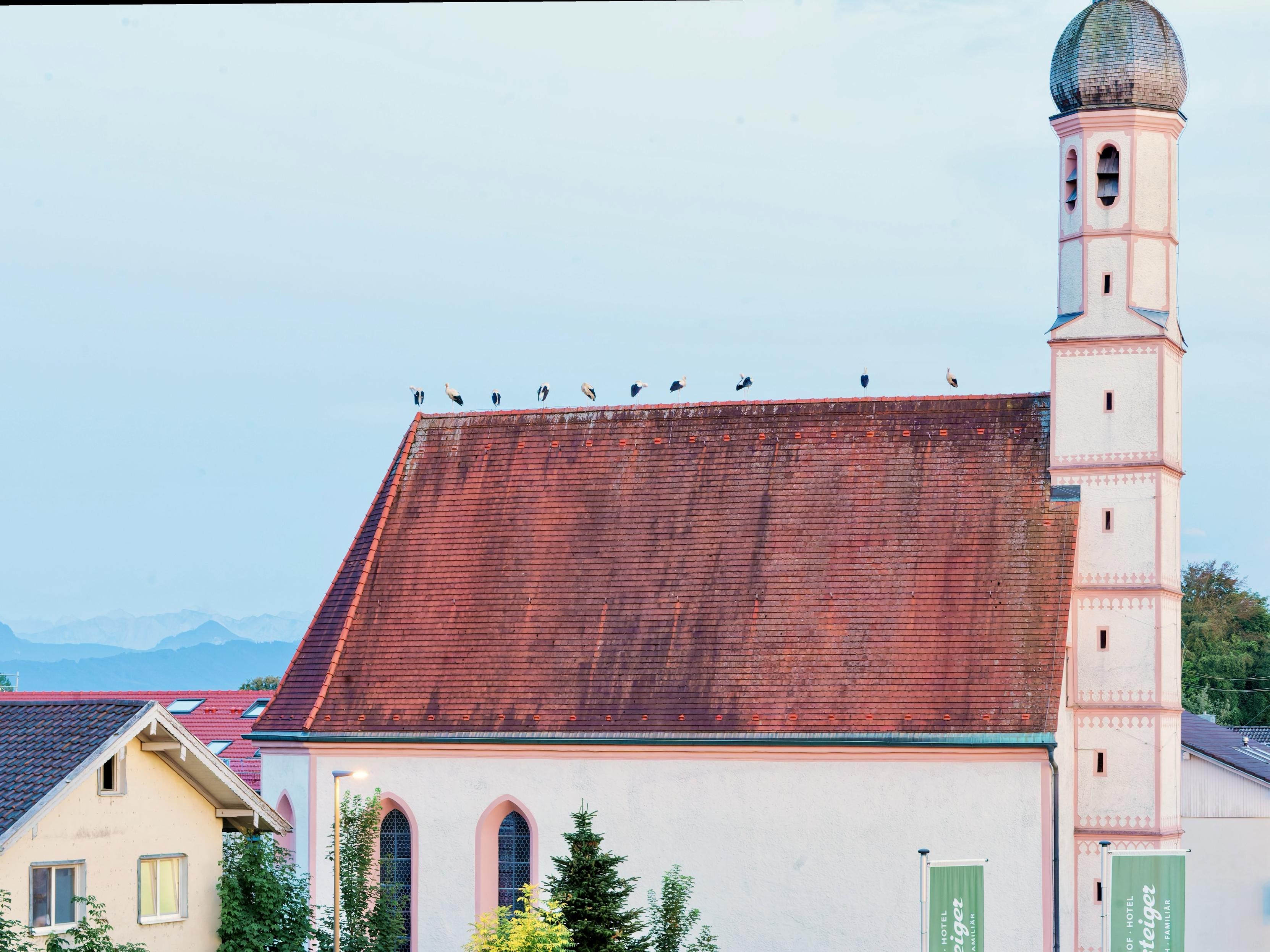 A Bavarian church at sunset. On the red roof 10 storks are resting. Alps in the far background