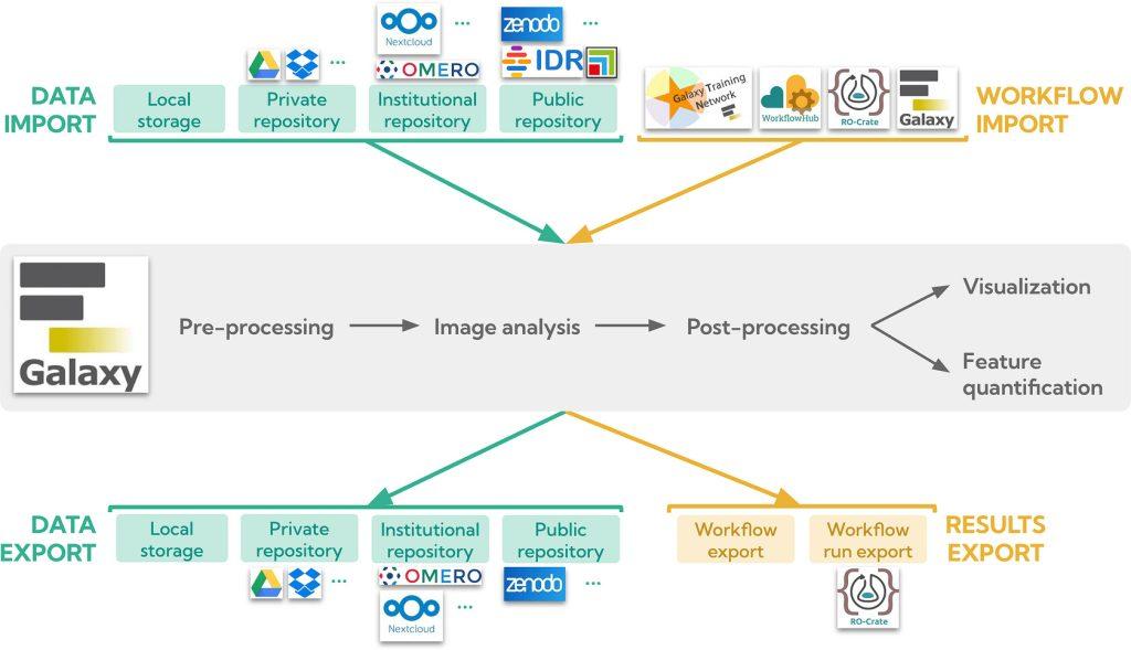 Galaxy single-cell and spatial omics graphical abstract